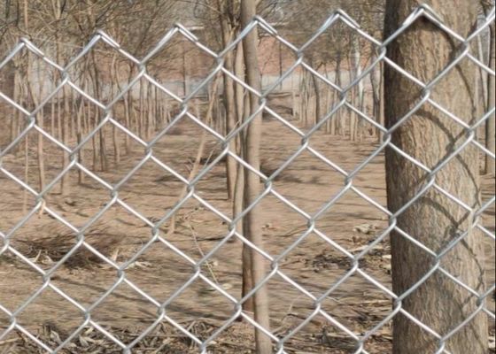 4.8 มิลลิเมตร แกลนไซด์ Chain Link Fence 50 มิลลิเมตร Roll Diamond Hole Mesh