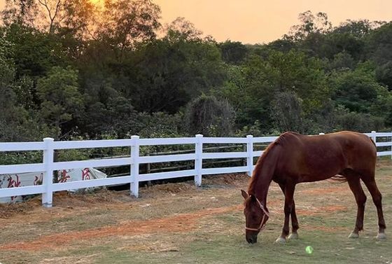 Heavy Duty 3Rails Horse PVC รั้วฟาร์มพลาสติกไวนิล Ranch Paddock รั้วม้า