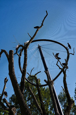 ตาข่ายลวดสแตนเลสถักด้วยมือสำหรับตกแต่ง พร้อมเส้นผ่านศูนย์กลางลวด 1.5 มม./2 มม./2.5 มม. และช่องตาข่าย 25*25 มม./30*30 มม./50*50 มม. สำหรับตาข่ายนกและตาข่ายสวนสัตว์