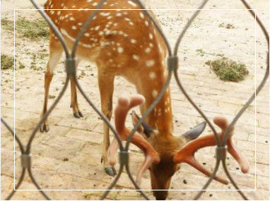 ตาข่ายเชือกสแตนเลสสตีลถักด้วยมือแบบยืดหยุ่น พร้อมขนาดขอบเขตที่ปรับแต่งได้สำหรับราวบันไดและกรงสัตว์