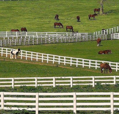 ง่ายในการประกอบ 4 รถไฟฟ้า Vinyl Pvc Farm Fencing รถไฟฟ้า White Horse Rail Fence